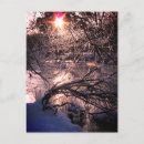 Recherche de glaçon photographie Hiver