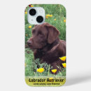 Recherche de labrador retriever iphone coques Récupérateur
