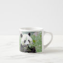 Recherche de panda géant tasses Animal