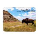 Recherche de landes magnets Bad lands