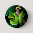Recherche de bambou badges Zoo