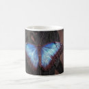 Recherche de papillon bleu de morpho tasses Tropical