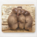 Recherche de singe chimpanzé tapis souris Singes