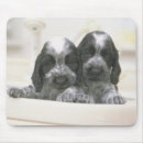 Recherche de salle bains tapis souris Horizontal