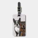 Recherche de terriers photographie Chien