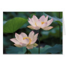 Recherche de hangzhou cartes postales Détail