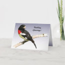 Recherche de ludovicianus Oiseau