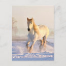 Recherche de chevaux neige cartes postales Cheval blanc