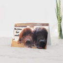 Recherche de salutation de chien Enfants