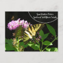 Recherche de naturaliste cartes postales Auteur