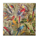 Recherche de oiseaux vintages carreaux Animaux