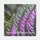 Recherche de persan magnets Floral