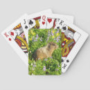Recherche de marmotte jeux de cartes Mignon