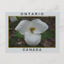 Recherche de ontario canada cartes postales Nature