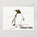 Recherche de pingouin noir et blanc cartes postales Doux