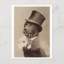 Recherche de chien vintage cartes postales Costume