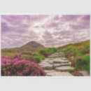 Recherche de nature cadeau emballages Paysage