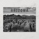 Recherche de ours noir et blanc cartes postales Nature