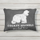 Recherche de cockers coussins Épagneul