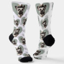 Recherche de un cadre vêtements Chien