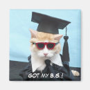 Recherche de marrante magnets Chaton