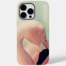 Recherche de de la floride coques iphone coques Flamant