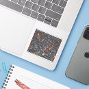 Recherche de stellaire autocollants Céleste