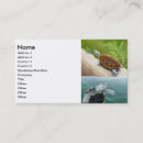 Recherche de terrapin Tortue de boîte