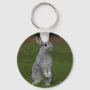 Recherche de lapin nain porteclés Mignon