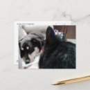 Recherche de chien endormi posters Canin