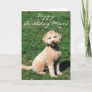 Recherche de happy birthday goldendoodle Anniversaire