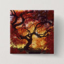 Recherche de érable badges Feuillage