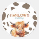 Recherche de highland cow autocollants Impression de vache