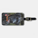 Recherche de chasse bagages étiquettes Chien
