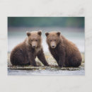 Recherche de deux animaux cartes postales Jeune animal