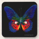 Recherche de contexte dessous de verres Papillon