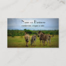 Recherche de rayures de zèbre cartes visite Faune