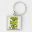 Recherche de coupes circuit porteclés Plantes