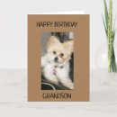 Recherche de grandson vœux cartes Photographie