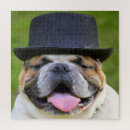 Recherche de bouledogue puzzles Amusant