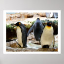 Recherche de anniversaire de pingouin art Animaux