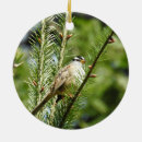 Recherche de chant de noël photographie Nature