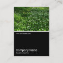 Recherche de commerce électronique cartes visite Internet