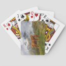 Recherche de bovin jeux de cartes Bétail