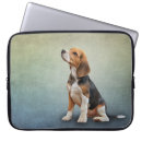 Recherche de clipart coques Mignon