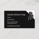 Recherche de extracteur cartes visite Animal