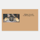 Recherche de de berger allemand autocollants Animaux domestiques