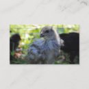Recherche de poussins de pâques cartes visite Pour tous
