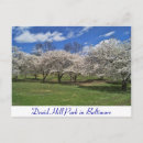 Recherche de druide cartes postales Fleurs