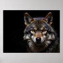 Recherche de loups sauvages posters Faune